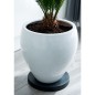 Nature Pflanzenroller Ø39 cm Anthrazit Nature Pflanzenroller Ø39 cm Anthrazit