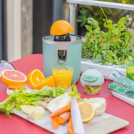 Livoo Zitruspresse Elektrisch 400 ml 70 W Grün