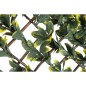 Nature Rankgitter mit Liguster 90x180 cm Grüne und Gelbe Blätter Nature Rankgitter mit Liguster 90x180 cm Grüne und Gelbe Blätter