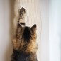 Quapas! Klettersack für Katzen Sisal 180 cm Quapas! Klettersack für Katzen Sisal 180 cm