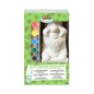 Esschert Design DIY-Gartenzwerg mit Farben Esschert Design DIY-Gartenzwerg mit Farben
