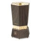 Medisana Aroma-Diffusor AD 100 Braun Golden Medisana Aroma-Diffusor AD 100 Braun Golden