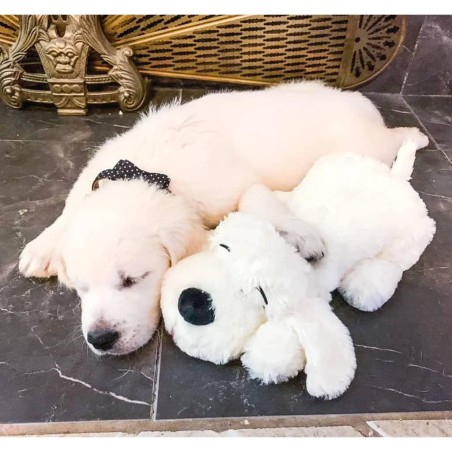 Snuggle Puppy Hundespielzeug mit Herzschlag Golden
