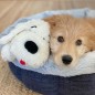 Snuggle Puppy Hundespielzeug mit Herzschlag Golden Snuggle Puppy Hundespielzeug mit Herzschlag Golden