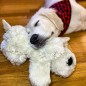 Snuggle Puppy Hundespielzeug mit Herzschlag Golden Snuggle Puppy Hundespielzeug mit Herzschlag Golden