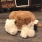 Snuggle Puppy Hundespielzeug mit Herzschlag Golden Snuggle Puppy Hundespielzeug mit Herzschlag Golden