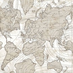 Noordwand Tapete Friends & Coffee The World Map Metallic und Beige