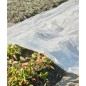 Nature Pflanzfolie 3x4 m 100µ Transparent Nature Pflanzfolie 3x4 m 100µ Transparent