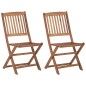 vidaXL Klappbare Gartenstühle 2 Stk. mit Kissen Massivholz Akazie vidaXL Klappbare Gartenstühle 2 Stk. mit Kissen Massivholz Akazie