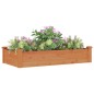 vidaXL Hochbeet mit Einsatz Braun 120x60x25 cm Massivholz Tanne vidaXL Hochbeet mit Einsatz Braun 120x60x25 cm Massivholz Tanne