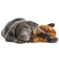 Snuggle Puppy Starter-Set Comfortable Beginnings Neuer Welpe Snuggle Puppy Starter-Set Comfortable Beginnings Neuer Welpe