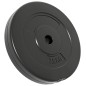 vidaXL Hantelscheiben 6 Stk. 30 kg Zement vidaXL Hantelscheiben 6 Stk. 30 kg Zement