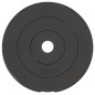 vidaXL Hantelscheiben 6 Stk. 30 kg Zement vidaXL Hantelscheiben 6 Stk. 30 kg Zement