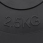 vidaXL Hantelscheiben 6 Stk. 30 kg Zement vidaXL Hantelscheiben 6 Stk. 30 kg Zement