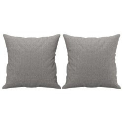 Zierkissen 2 Stk. Hellgrau 40x40 cm Stoff