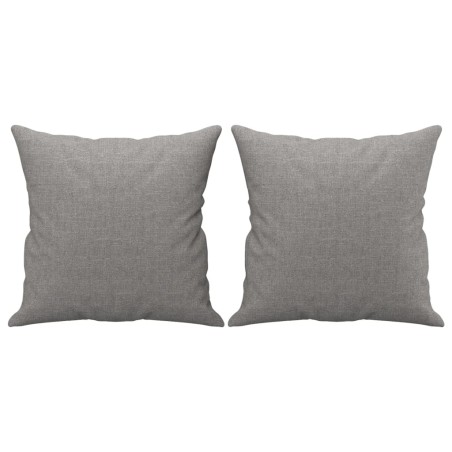 Zierkissen 2 Stk. Hellgrau 40x40 cm Stoff