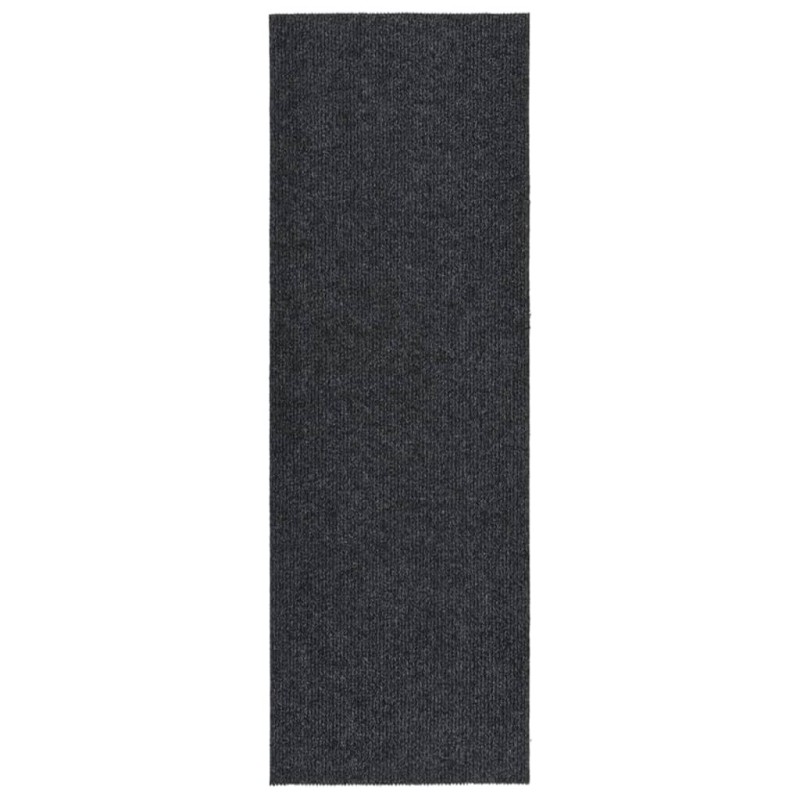 vidaXL Schmutzfänger 100x300 cm Anthrazit vidaXL Schmutzfänger 100x300 cm Anthrazit