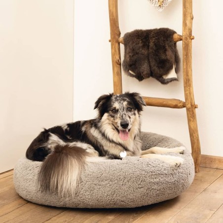 Beeztees Hundebett Jaxx Memory-Schaum 50x20 cm Grau