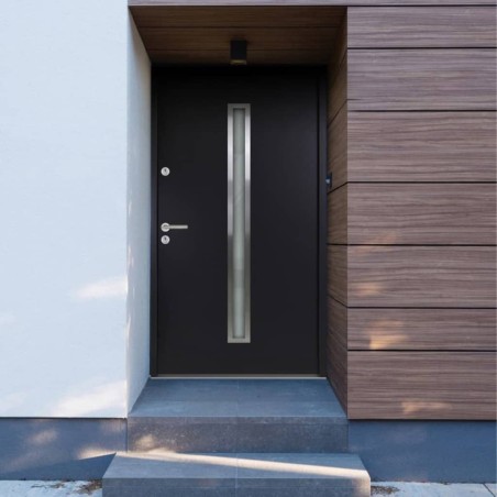 vidaXL Haustür Anthrazit 100x200 cm Aluminium