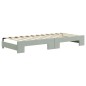 vidaXL Tagesbett Ausziehbar mit Schubladen Hellgrau 80x200 cm Samt vidaXL Tagesbett Ausziehbar mit Schubladen Hellgrau 80x200 cm Samt