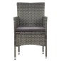 vidaXL 11-tlg. Garten-Essgruppe Poly Rattan Grau vidaXL 11-tlg. Garten-Essgruppe Poly Rattan Grau