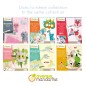 Avenue Mandarine Kreativ-Box All Paper Avenue Mandarine Kreativ-Box All Paper