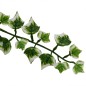 vidaXL Hängepflanzen Künstlich 12 Stk. 339 Blätter 90 cm Grün und Weiß vidaXL Hängepflanzen Künstlich 12 Stk. 339 Blätter 90 cm Grün und Weiß