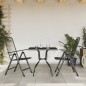 vidaXL 3-tlg. Garten-Essgruppe Anthrazit Streckgitter vidaXL 3-tlg. Garten-Essgruppe Anthrazit Streckgitter
