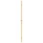 vidaXL Innentür Schlank Golden 102,5x201,5 cm Hartglas und Aluminium vidaXL Innentür Schlank Golden 102,5x201,5 cm Hartglas und Aluminium