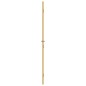 vidaXL Innentür Schlank Golden 93x201,5 cm Hartglas und Aluminium vidaXL Innentür Schlank Golden 93x201,5 cm Hartglas und Aluminium