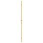 vidaXL Innentür Schlank Golden 83x201,5 cm Hartglas und Aluminium vidaXL Innentür Schlank Golden 83x201,5 cm Hartglas und Aluminium
