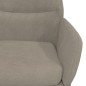 vidaXL Relaxsessel Hellgrau Samt vidaXL Relaxsessel Hellgrau Samt
