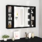 vidaXL Spiegelschrank mit LED Schwarz 76x15x55 cm vidaXL Spiegelschrank mit LED Schwarz 76x15x55 cm