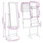 vidaXL Schmuckschrank mit Spiegel &LED-Beleuchtung Freistehend Schwarz vidaXL Schmuckschrank mit Spiegel &LED-Beleuchtung Freistehend Schwarz