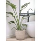 Capi Blumentopf Waste Rib 43x41 cm Terrazzo Beige Capi Blumentopf Waste Rib 43x41 cm Terrazzo Beige