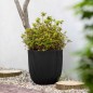 Capi Pflanzgefäß Groove 35x34 cm Schwarz Capi Pflanzgefäß Groove 35x34 cm Schwarz