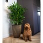 Capi Vase Groove Elegant 46x58 cm Schwarz und Golden Capi Vase Groove Elegant 46x58 cm Schwarz und Golden