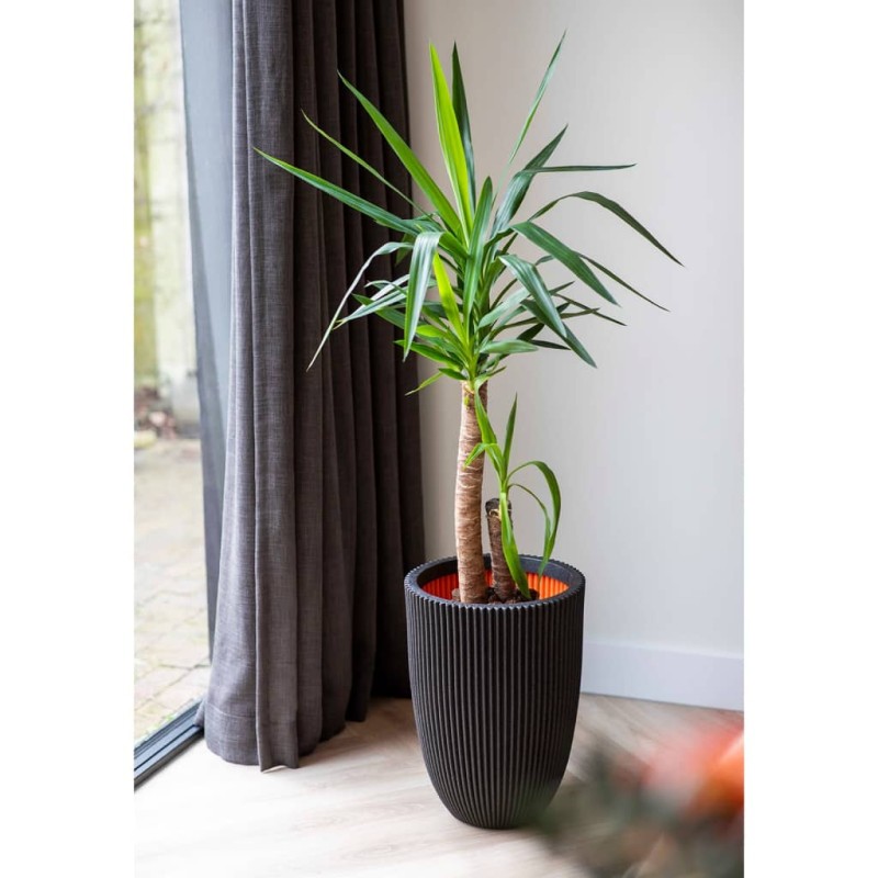 Capi Vase Groove Elegant 46x58 cm Schwarz Capi Vase Groove Elegant 46x58 cm Schwarz