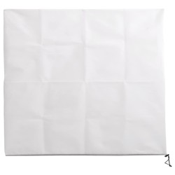 vidaXL Wintervlies mit Reißverschluss 70 g/m² 3,93x3,5 m