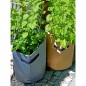 Nature Pflanzsack für Kartoffel 37 L Anthrazit Nature Pflanzsack für Kartoffel 37 L Anthrazit