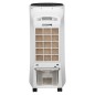 Qlima 4-in-1 Luftkühler LK 3006 RC 90 W Weiß Qlima 4-in-1 Luftkühler LK 3006 RC 90 W Weiß
