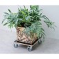 Nature Pflanzenroller Quadratisch 38x38 cm Schwarz Holz Nature Pflanzenroller Quadratisch 38x38 cm Schwarz Holz