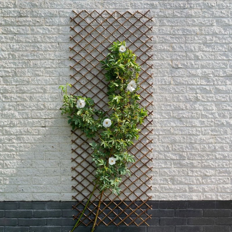 Nature Garten-Rankgitter 30x180 cm Natur Weide Braun Nature Garten-Rankgitter 30x180 cm Natur Weide Braun