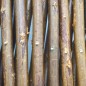 Nature Garten-Rankgitter 30x180 cm Natur Weide Braun Nature Garten-Rankgitter 30x180 cm Natur Weide Braun