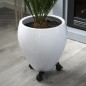 Nature Pflanzenroller mit 3 Armen Verstellbar Schwarz Metall Nature Pflanzenroller mit 3 Armen Verstellbar Schwarz Metall