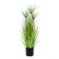Emerald Künstliches Zypergras Haspan 75 cm im Topf Emerald Künstliches Zypergras Haspan 75 cm im Topf