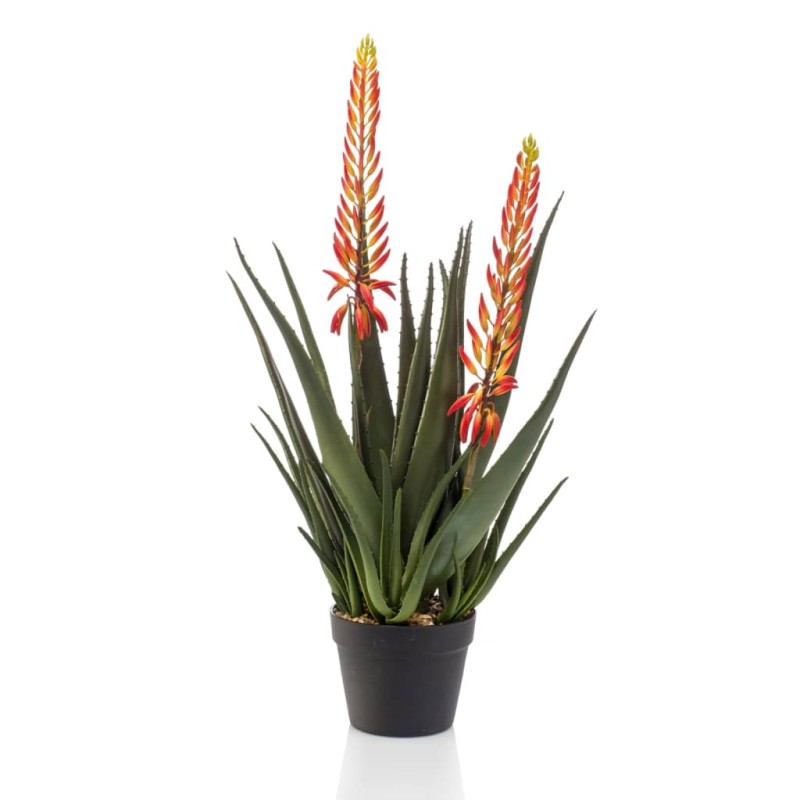 Emerald Künstliche Aloe mit 2 Blumen 80 cm im Topf Emerald Künstliche Aloe mit 2 Blumen 80 cm im Topf