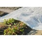 Nature Pflanzfolie 4x6 m 200µ Transparent Nature Pflanzfolie 4x6 m 200µ Transparent
