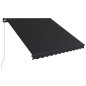 vidaXL Einziehbare Markise Handbetrieben 300 x 250 cm Anthrazit vidaXL Einziehbare Markise Handbetrieben 300 x 250 cm Anthrazit