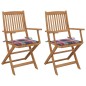 vidaXL Klappbare Gartenstühle 2 Stk. mit Kissen Massivholz Akazie vidaXL Klappbare Gartenstühle 2 Stk. mit Kissen Massivholz Akazie